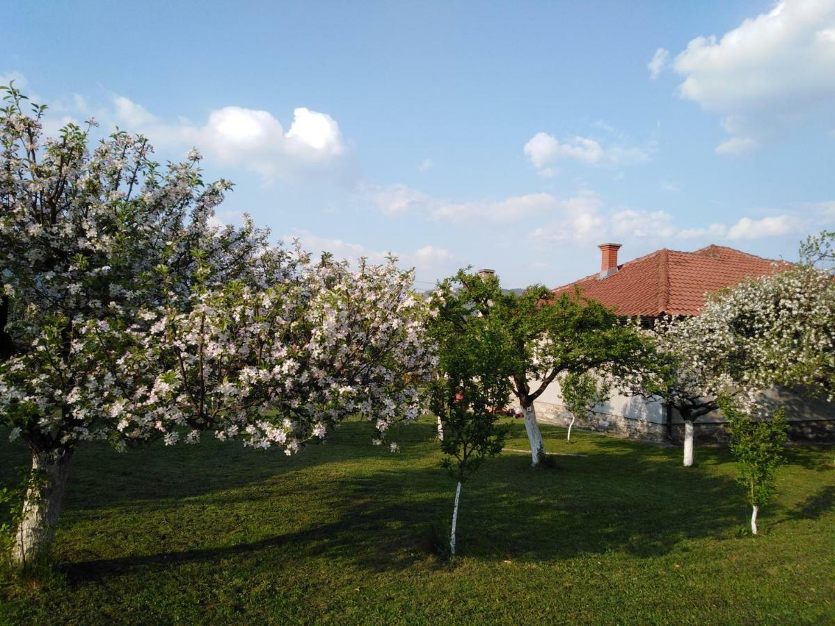 Mala Basta Appartement Bajina Basta Buitenkant foto